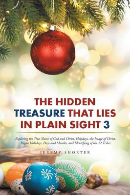 Book cover for The Hidden Treasure That Lies in Plain Sight 3