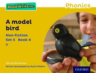 Cover of Read Write Inc. Phonics: A Model Bird (Yellow Set 5 Non-fiction 4)