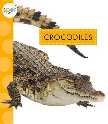 Cover of Crocodiles