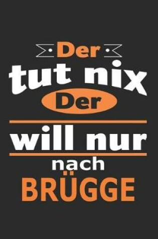 Cover of Der tut nix Der will nur nach Brugge