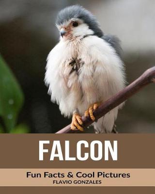 Book cover for Falcon