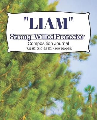 Book cover for Liam