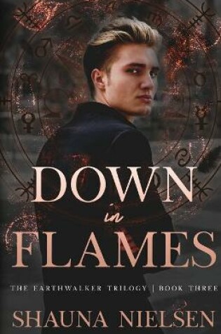 Cover of Down in Flames