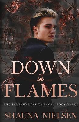 Book cover for Down in Flames