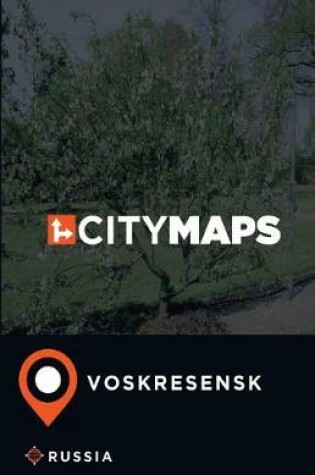 Cover of City Maps Voskresensk Russia