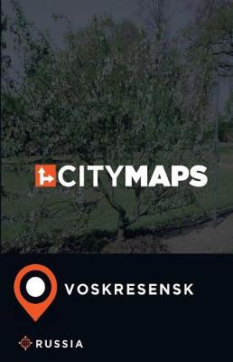 Book cover for City Maps Voskresensk Russia