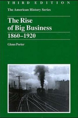 Cover of The Rise of Big Business