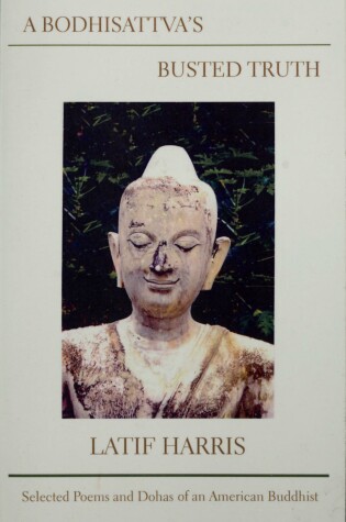 Cover of Bodhisattva's Busted Truth