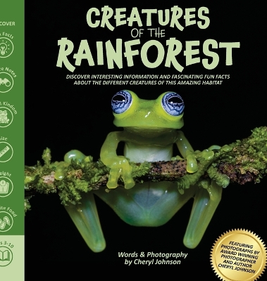 Book cover for Amazing Creatures of the Rainforest