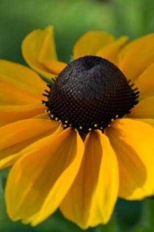 Cover of Rudbeckia in the Spring Garden Journal