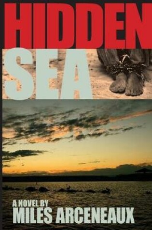 Cover of Hidden Sea