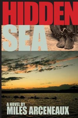 Book cover for Hidden Sea