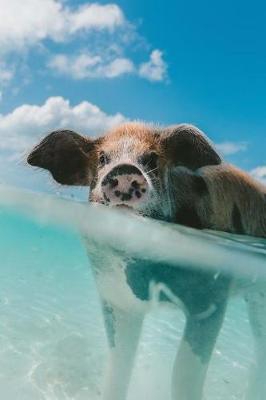 Book cover for Cute Swimming Caribbean Pig