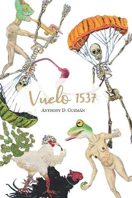 Book cover for Vuelo 1537