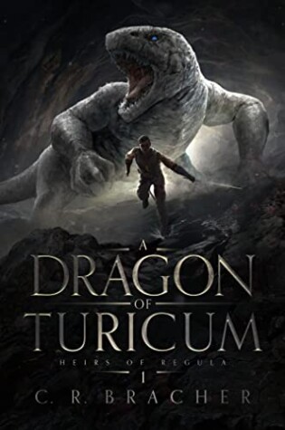 Cover of A Dragon of Turicum