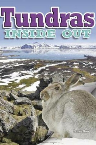 Cover of Tundras Inside Out