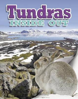 Book cover for Tundras Inside Out