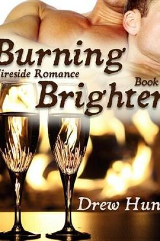 Cover of Fireside Romance Book 2