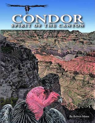 Book cover for Condor