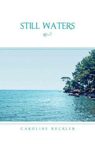 Cover of Still Waters