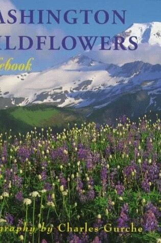 Cover of Washington Wildflowers