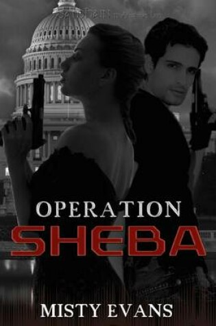 Cover of Operation Sheba