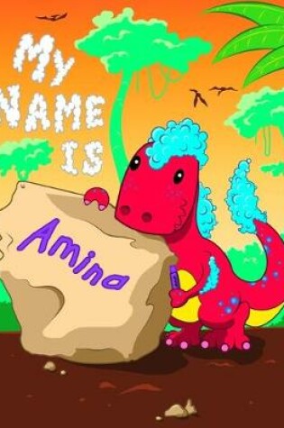 Cover of My Name is Amina