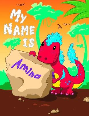 Book cover for My Name is Amina