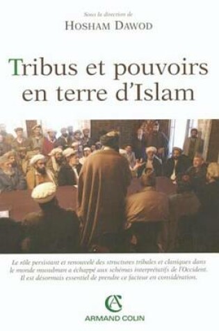 Cover of Tribus Et Pouvoirs En Terre D'Islam