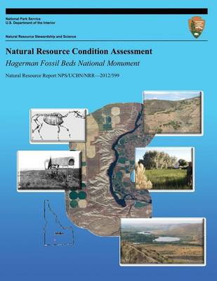 Book cover for Natural Resource Condition Assessment