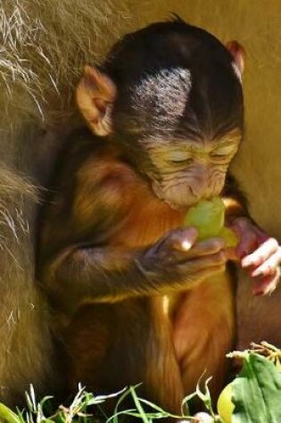 Cover of Super Cute Barbary Macaque Sitting Down Journal