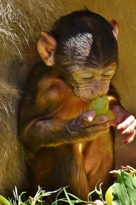 Book cover for Super Cute Barbary Macaque Sitting Down Journal