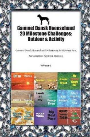 Cover of Gammel Dansk Hoensehund 20 Milestone Challenges