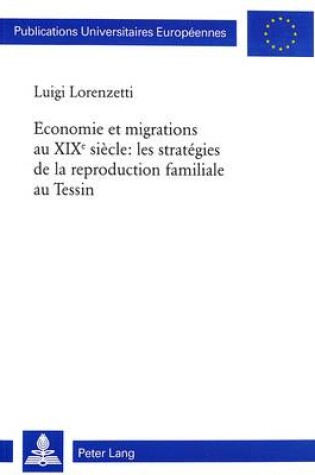 Cover of Economie Et Migrations Au Xixe Siecle: Les Strategies de La Reproduction Familiale Au Tessin