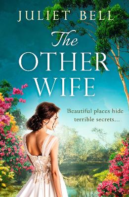 Book cover for The Other Wife