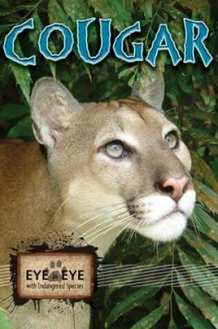 Cover of Cougars