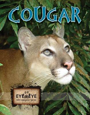 Book cover for Cougars