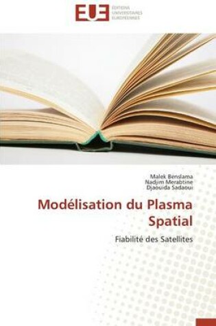 Cover of Mod lisation Du Plasma Spatial