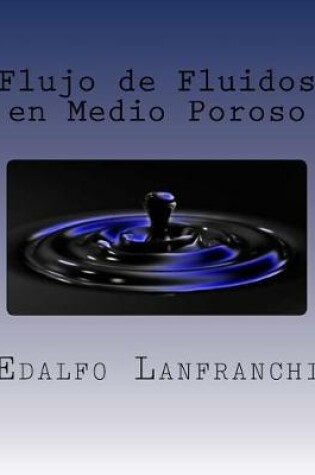 Cover of Flujo de Fluidos en Medio Poroso