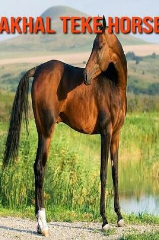 Cover of Akhal Teke Horse