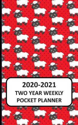 Book cover for 2020-2021 Two Year Weekly Pocket Planner