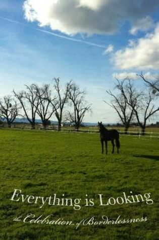 Cover of Everything is Looking: The Celebration of Borderlessness