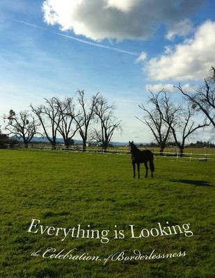 Book cover for Everything is Looking: The Celebration of Borderlessness