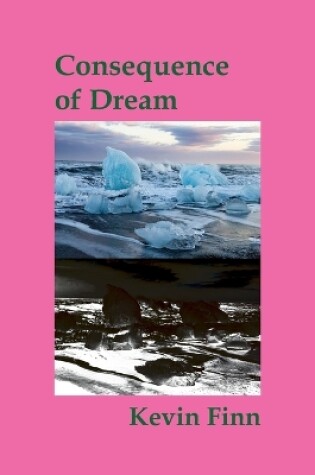 Cover of Consequence of Dream