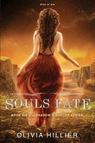 Cover of Souls Fate