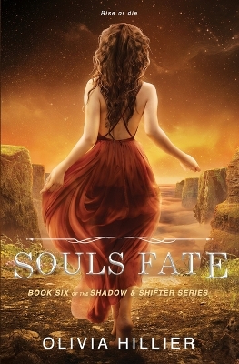 Book cover for Souls Fate