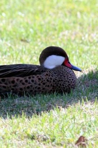 Cover of White-Cheeked Pintail Duck (Anas Bahamensis) Journal