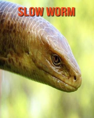 Book cover for Slow Worm