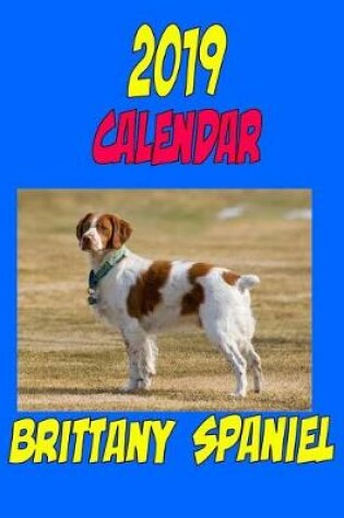 Cover of 2019 Calendar Brittany Spaniel