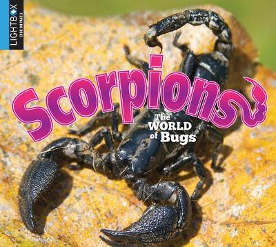 Cover of Scorpions